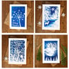 Pack of 4 Christmas cards from Cyanotype images