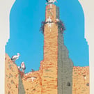 Storks of El Badi, Marrakech