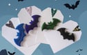 Brooches