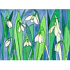 Snowdrops