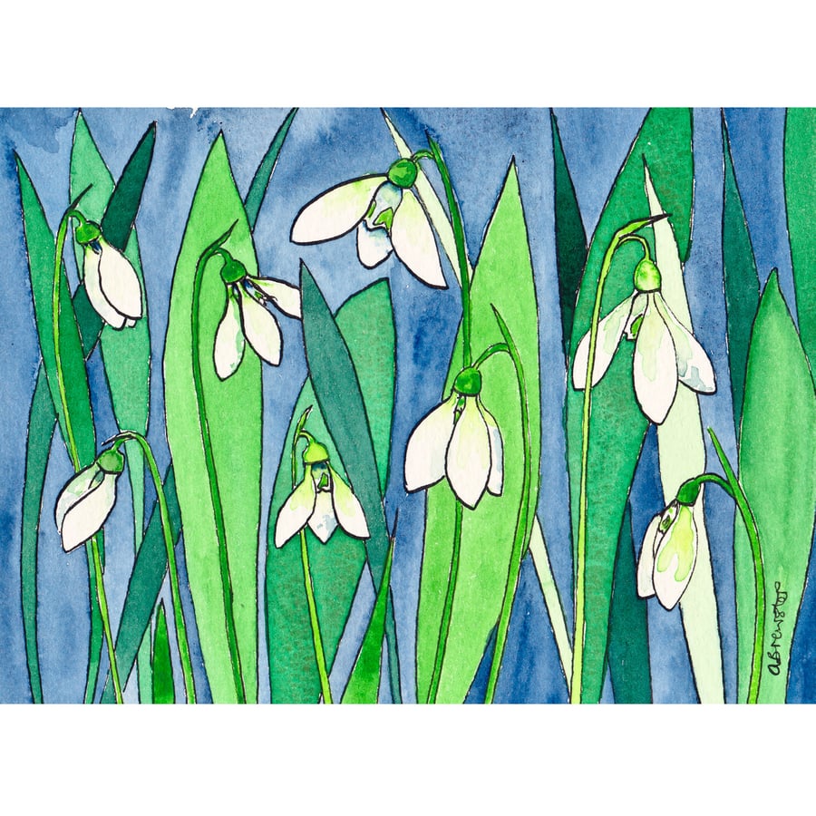 Snowdrops
