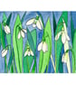 Snowdrops - Image 1