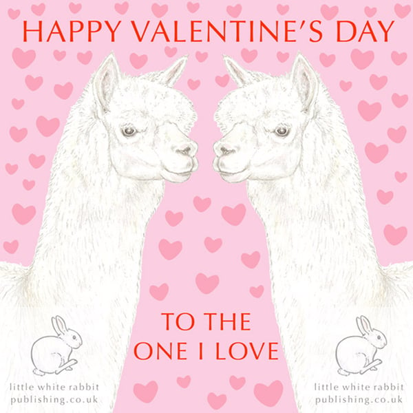  Alpaca Nose to Nose - Valentine Card
