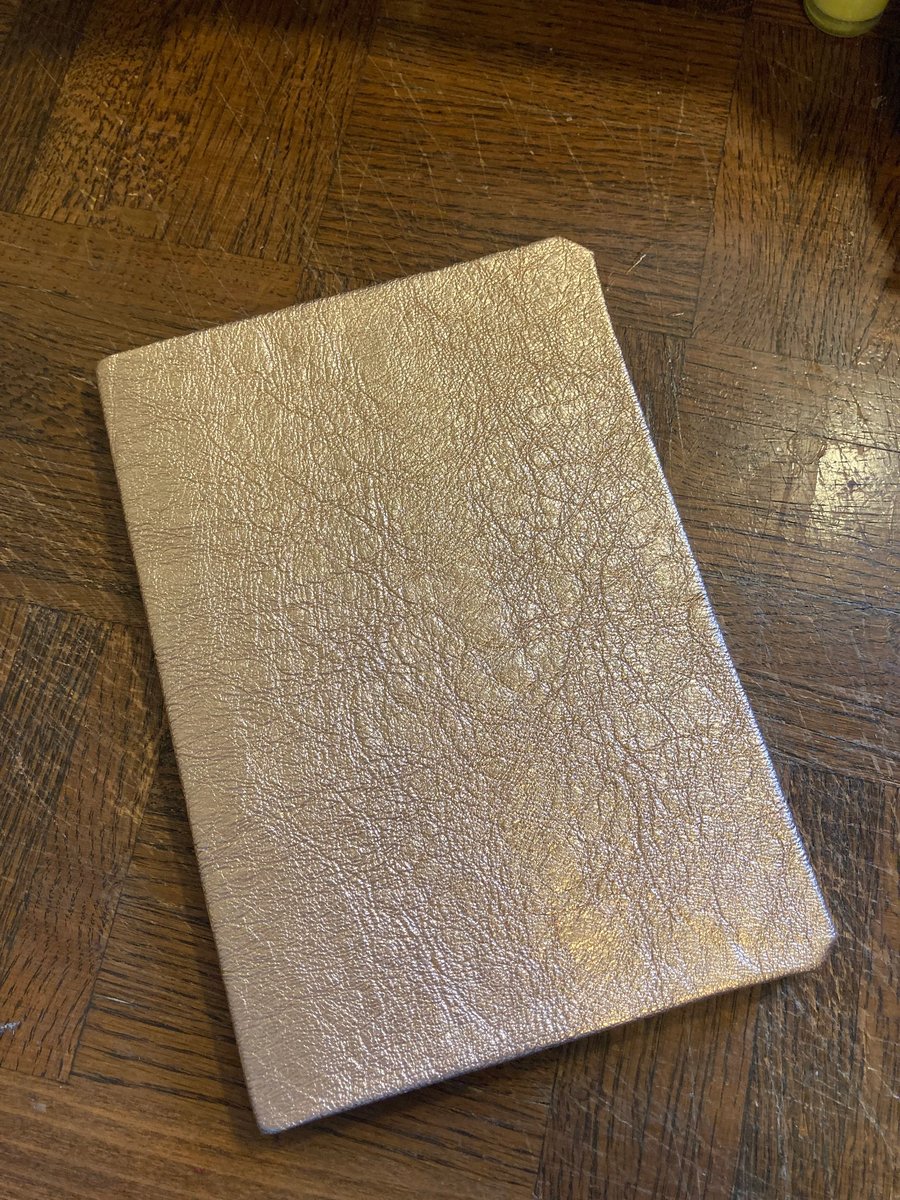 A5: Shiny Metallic Rose Gold colour soft leatherbound graph lined notebook 