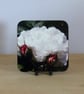 Summer Seconds - Photo Coaster - White Rose - Image 1