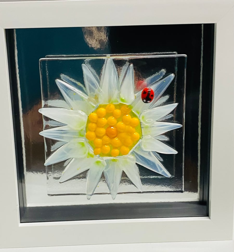 Fused glass daisy head with lady bird picture