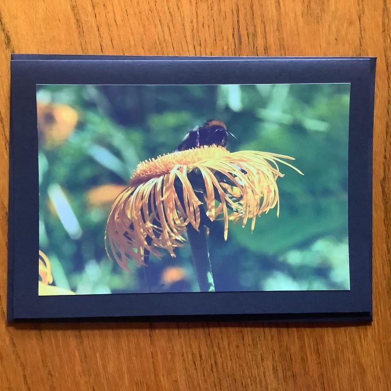 Handmade photo card of bee on yellow flower, 'Bee Content'