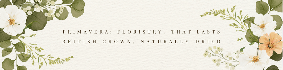 Primavera Living Store
