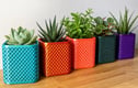Planters