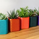 Modern Geometric Planter, 3D Printed Plant Pot with Drainage Stand