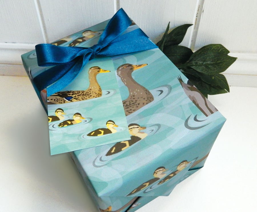 Ducks Gift Wrapping Paper Set - Spring, birthday, Easter
