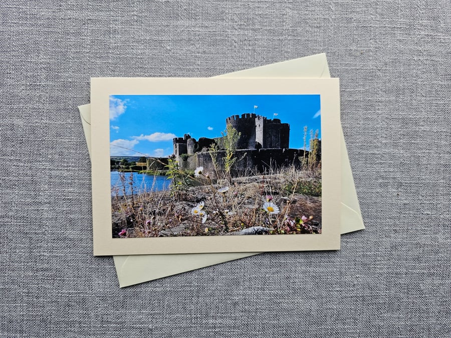Caerphilly Castle with Wild Flowers Large Blank Photo Card Size 7" x 5" 