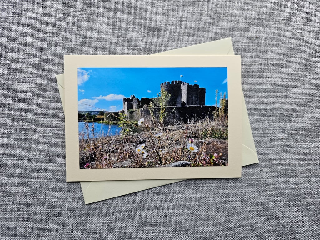 Caerphilly Castle with Wild Flowers Large Blank Photo Card Size 7" x 5" 