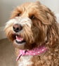 Pink Star Dog Bandana - Extra Small - Image 8