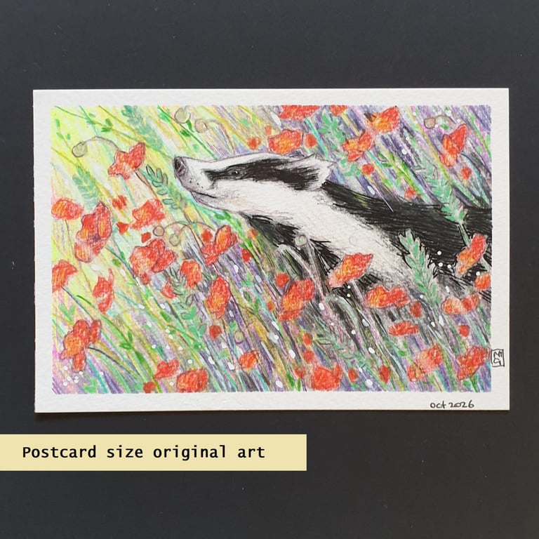 Badger in a patch of red poppies, postcard size original art, letterbox gift