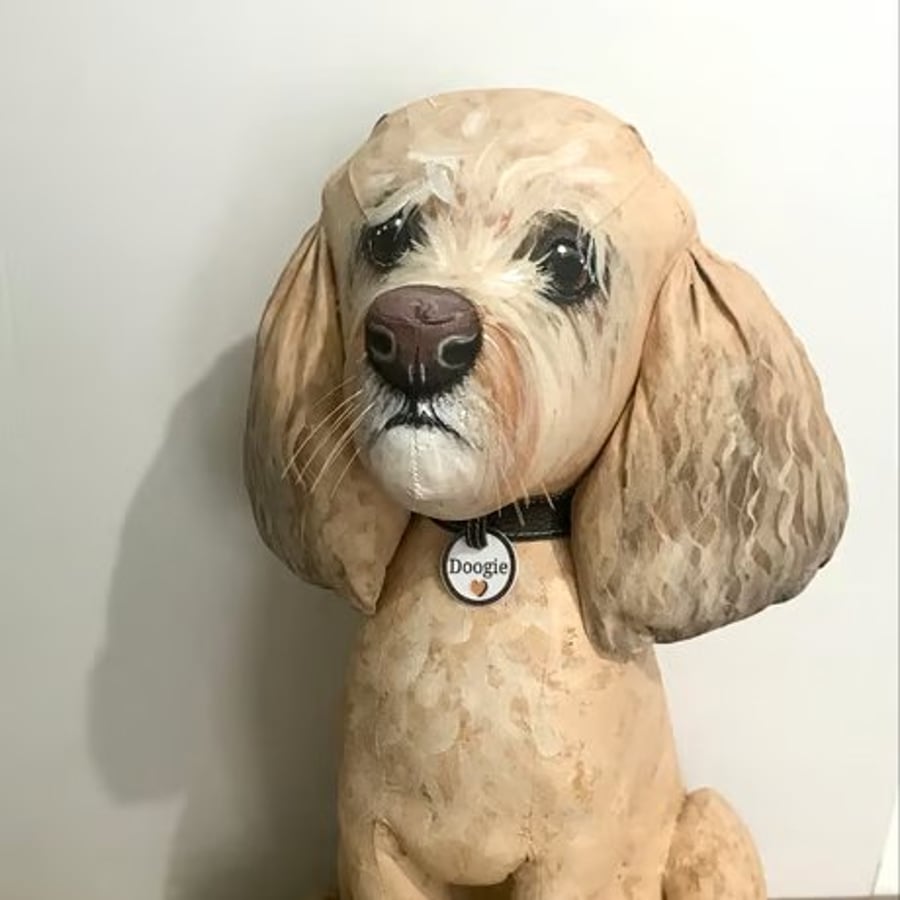 Labradoodles and Cockerpoos