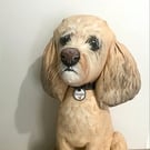 Labradoodles and Cockerpoos