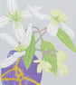 Clematis in Kintsugi Vase - Limited edition Linocut Print