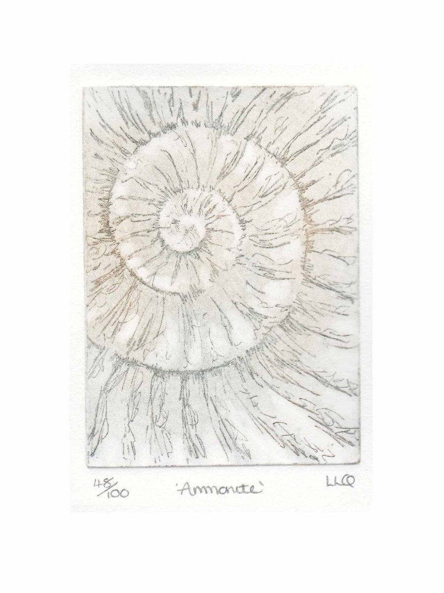 Etching no.48 of an ammonite fossil in an edition of 100