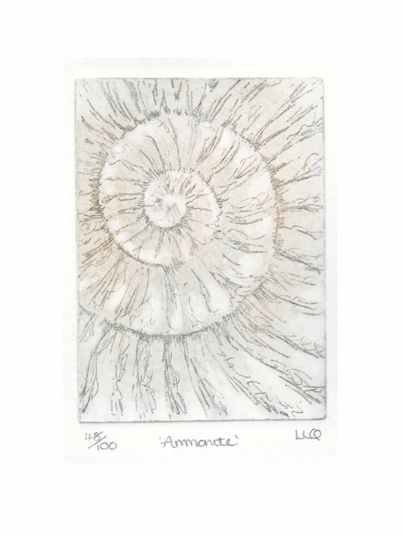 Etching no.48 of an ammonite fossil in an edition of 100