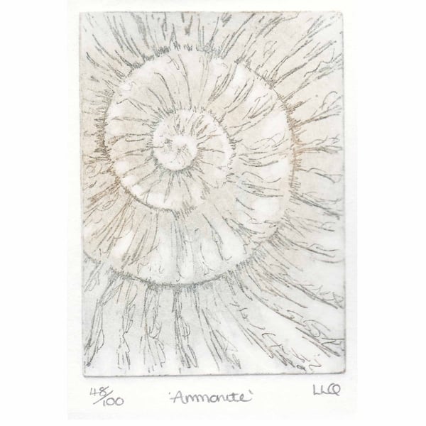 Etching no.48 of an ammonite fossil in an edition of 100