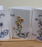 Field Notes Set Two Wild Flowers  - Image 1