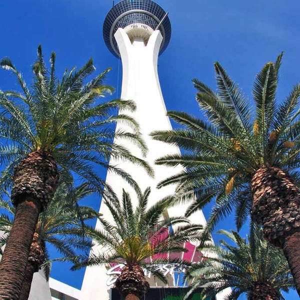 Stratosphere Tower Las Vegas Nevada America Photograph Print