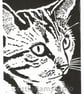 Thoughtful Tabby Cat - Original Hand Pulled Linocut Print - Image 1