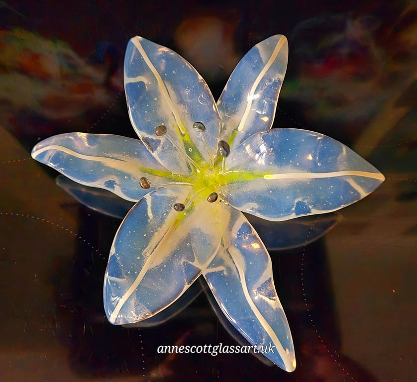 Handmade Fused Glass Lily Opaline White Stripe No 2 of 3.with Wall-mounting