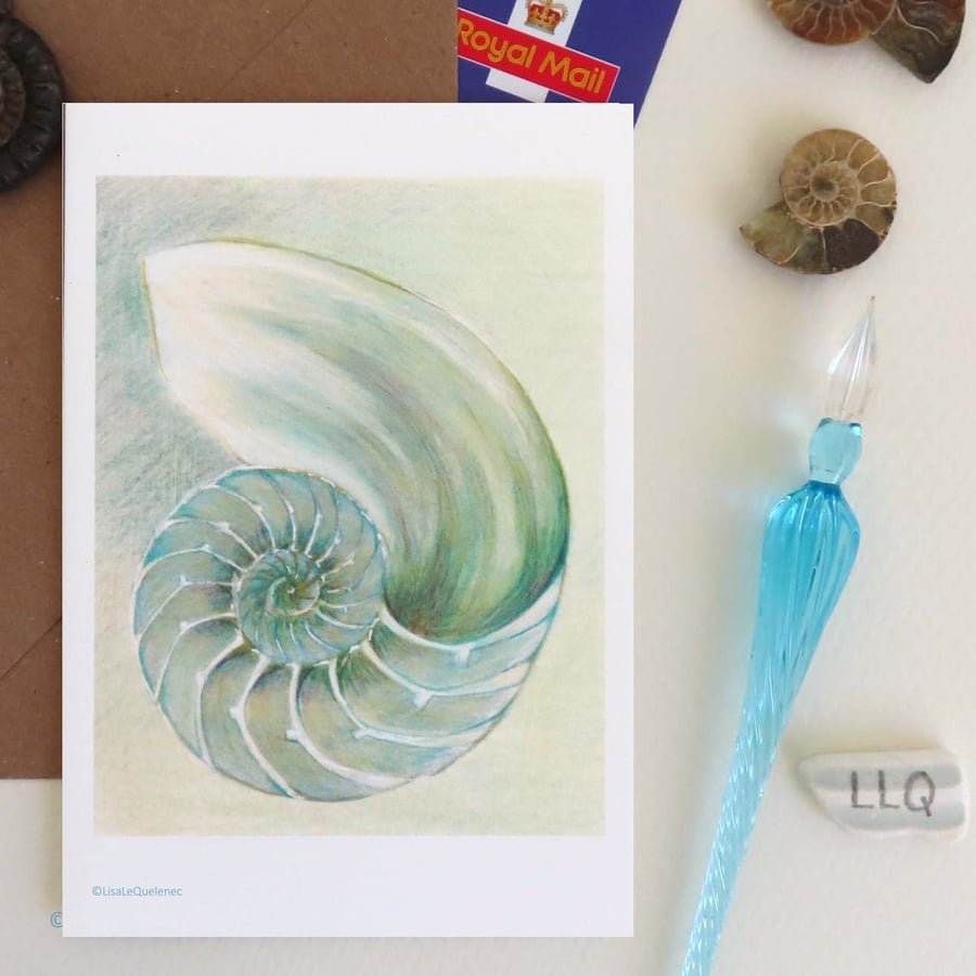 Chambered nautilus in green blank greeting card for any cellophane free