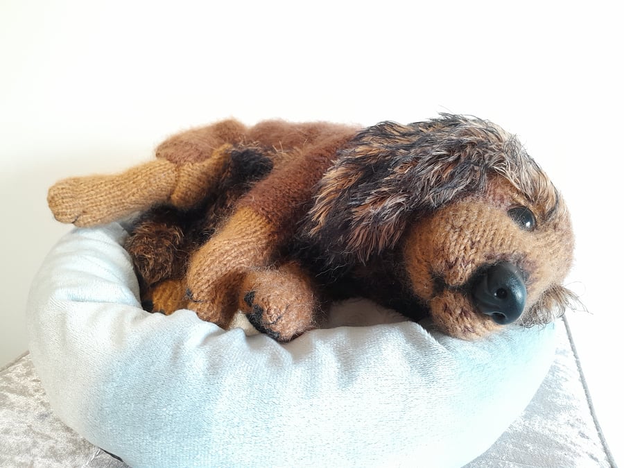 Dachshund Puppy, Dotpebblesknits Design