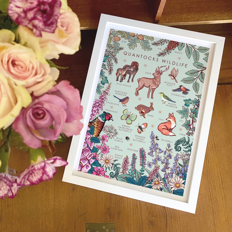Quantocks Wildlife Nature Guide Wall Art Print A4 Unframed 