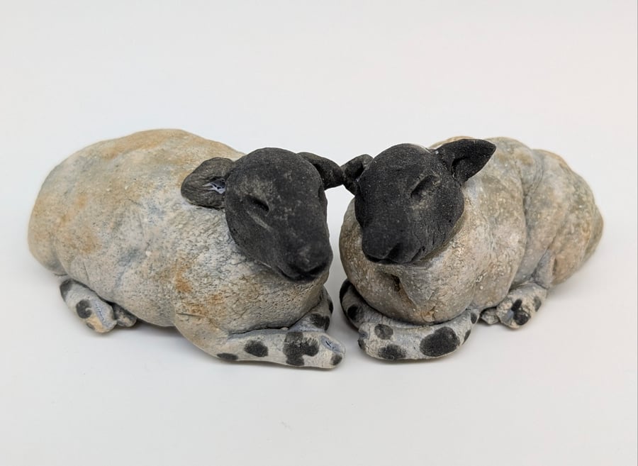 Pair of Mini Sleepy Sheep B