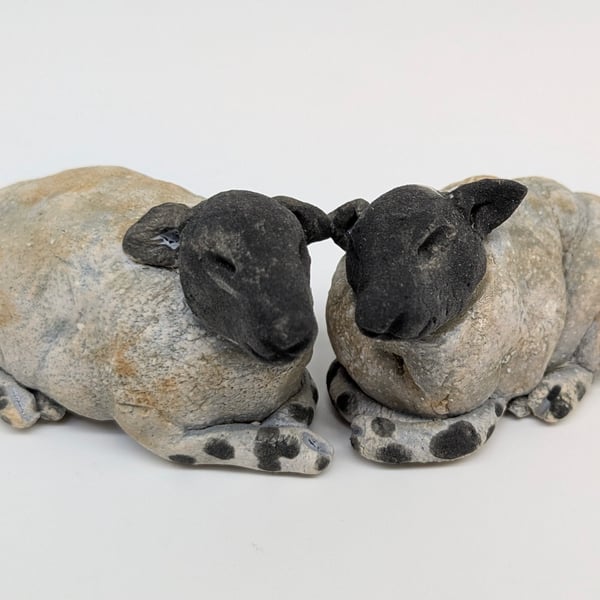 Pair of Mini Sleepy Sheep B