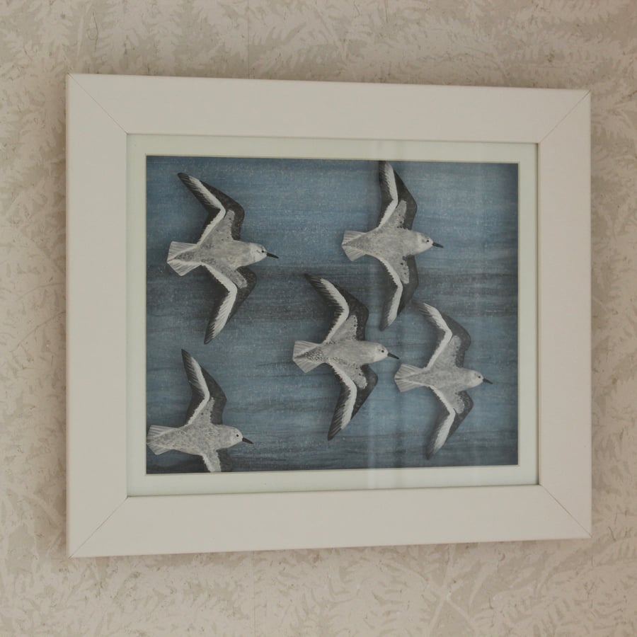 Framed flying sanderling