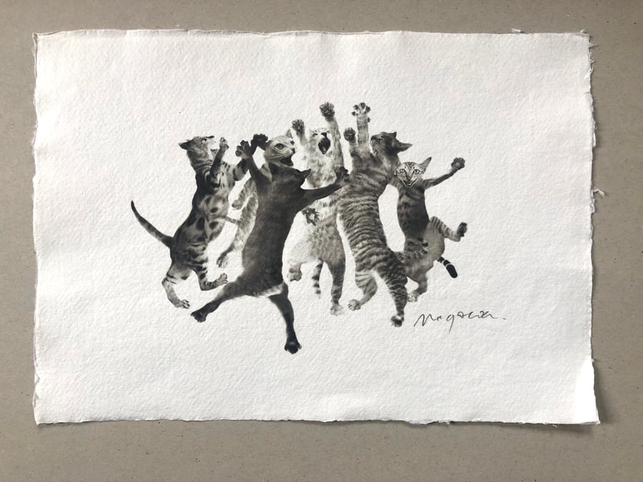 Cats Dancing