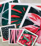 Stromanthe triostar Stromanthe sanguinea Botanical Square Art Print - Image 5