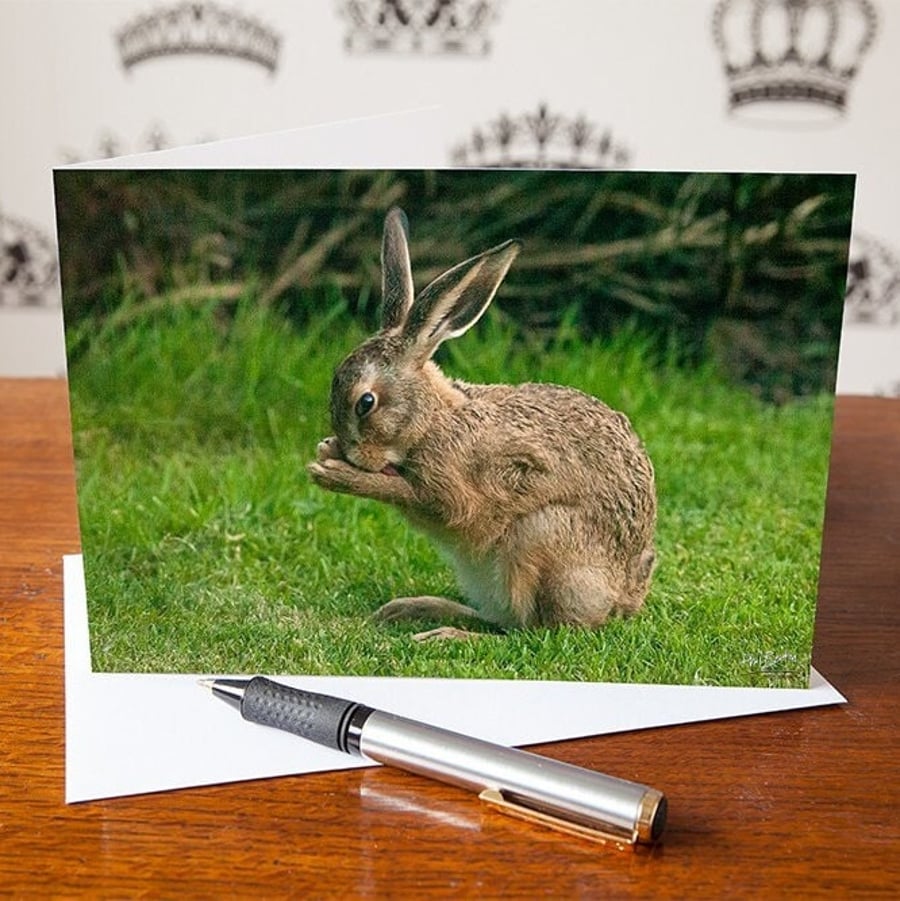 Hare Greetings Card - Blank Inside - Birthday Card - Mothers Day Card - Annivers