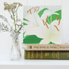 White Lily Card - sympathy, remembrance