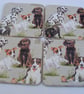 Set of 4 decoupaged jack russell and friends dog coasters.