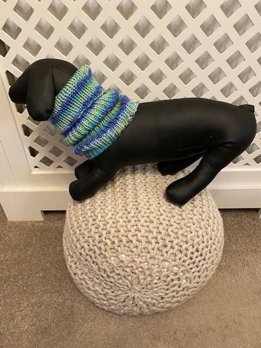 Dog Snood with Leash Hole