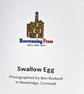 Blank Card A6 Portrait - Swallow Egg - Image 4