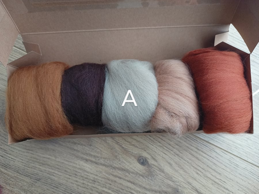 Dyed merino pack for spinning or felting earth colours 