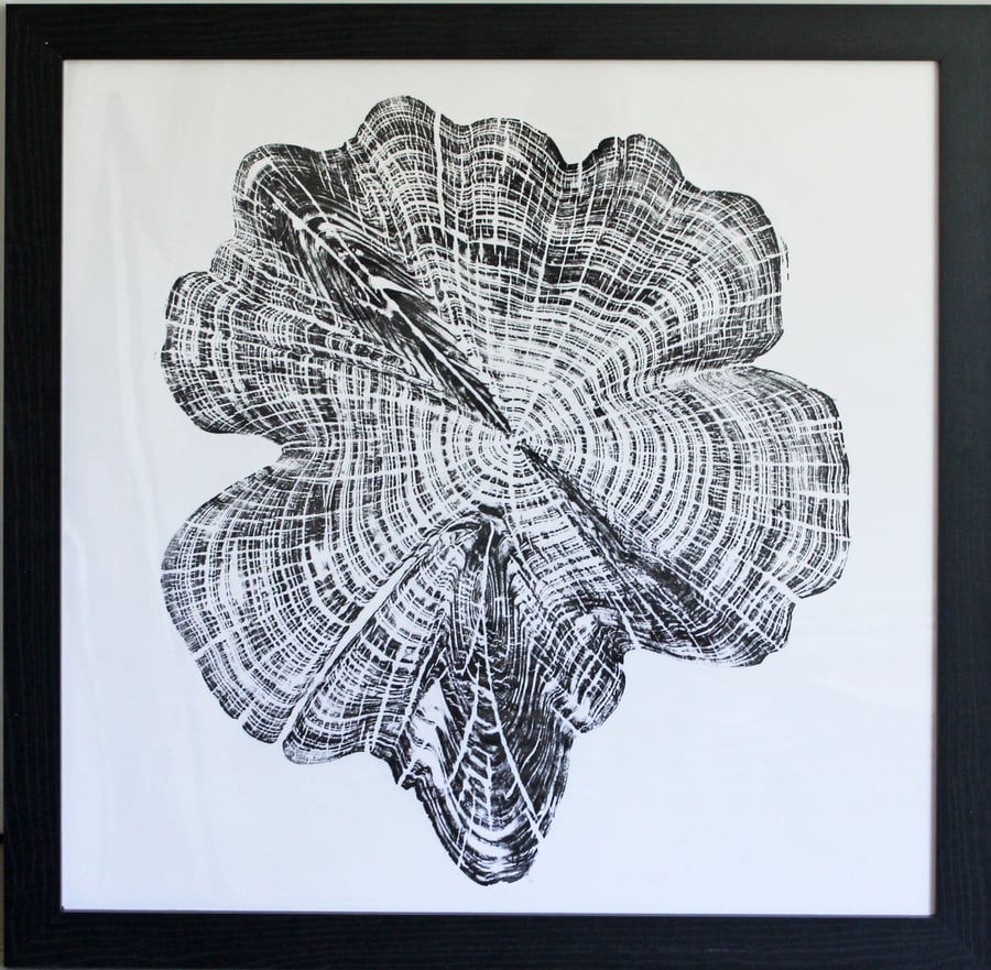 Cedar Star - Original Tree Ring Art Print 60cm square in black