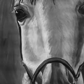 Rachael Williamson Fine Art