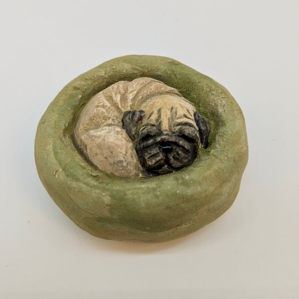 Yorkshire Pudding Pug