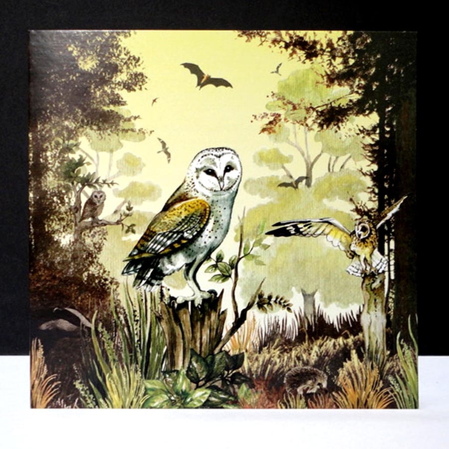 Stunning Owls at Twilight