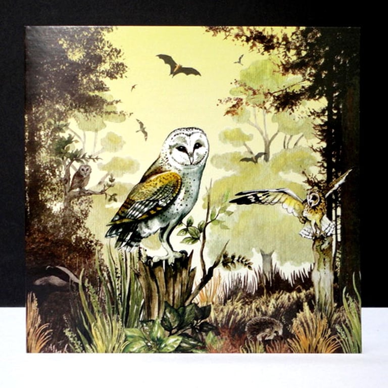 Stunning Owls at Twilight