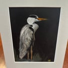 Original Chalk Pastel Drawing  - Heron - Framed