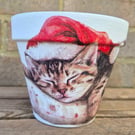 Pretty Christmas Cat Plant Pot